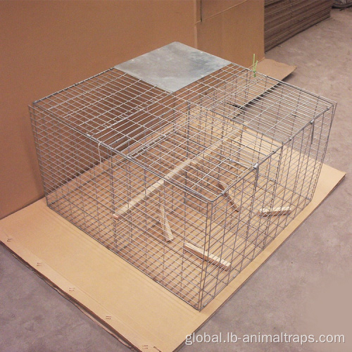 Live Animal Cage Trap rat mice trap cage humane live animal traps Manufactory